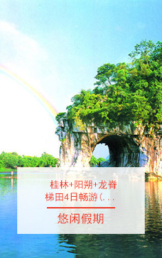 模板五-酒店左侧广告